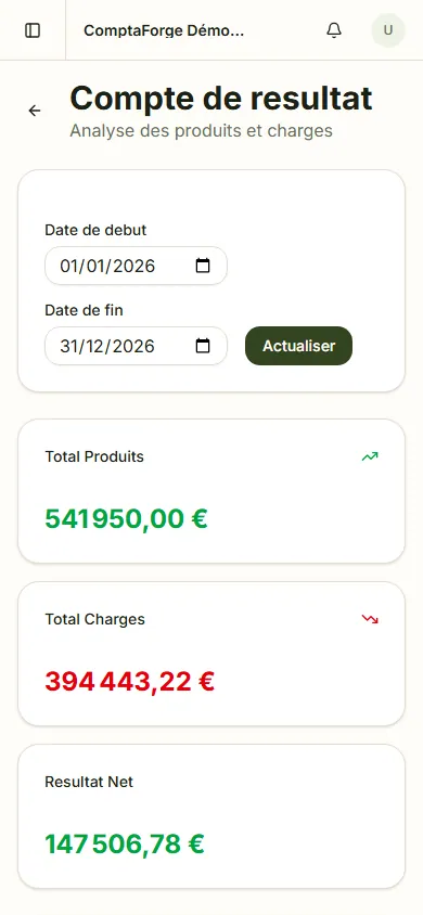 Rapports financiers